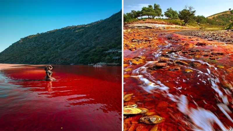 Revelando el Enigma: Explorando el Encanto Místico del Río Rojo