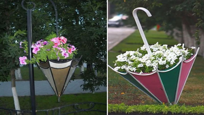 Unconventional Gardening: Growing Plants from Umbrellas