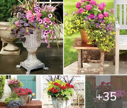 35 Colorful Spring Container Gardens