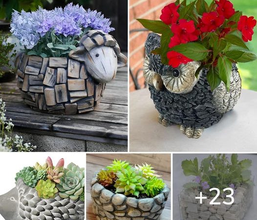 Creatıve stone flower pot ıdeas.