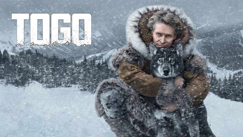 Togo – Official Trailer | Disney+ | Streaming Dec. 20