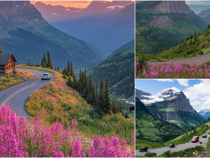 Driving the Stunning Going-to-the-Sun Road in Glacier National Park, Montana